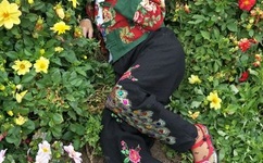 午夜dj在线观看免费完整高清在线视频下载